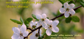Apsveikuma kartiņa: Saules stariem pielietu Mātes dienu!