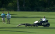 Video: Aligators iejaucas golfa turnīrā