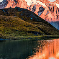 ingus_geiles_896177600517110