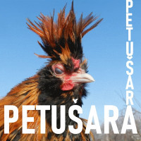 petušara