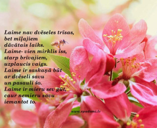 Tava vārda skaidrojums (nozīme) un ietekme uz tavu likteni. 20. oktobris - Leonīda, Leonīds