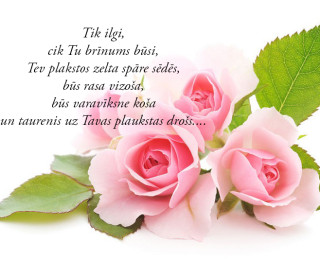 Tava vārda skaidrojums (nozīme) un ietekme uz tavu likteni. 25.augusts- Ivonna, Patrīcija, Patriks, Ludis, Ludvigs