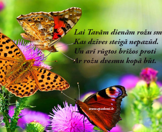 Tava vārda skaidrojums (nozīme) un ietekme uz tavu likteni. 31.augusts- Vilma, Aigars