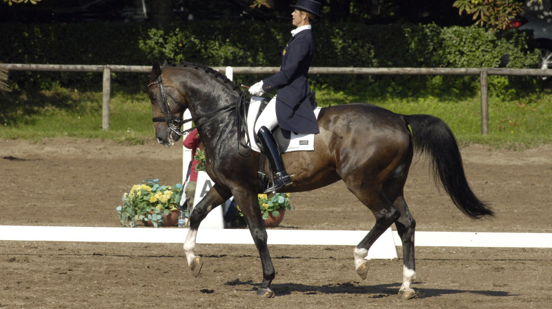 Airisa Penele ar zirgu Ravels