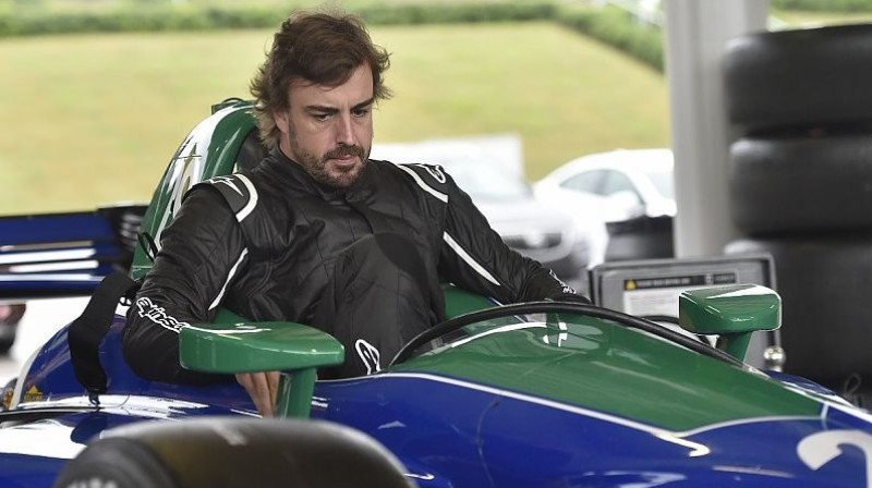 Fernando Alonso. Foto: Andretti Autosport