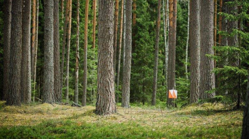 Foto: Lejaskurzemes tūrisma un orientēšanās klubs DR-krasts