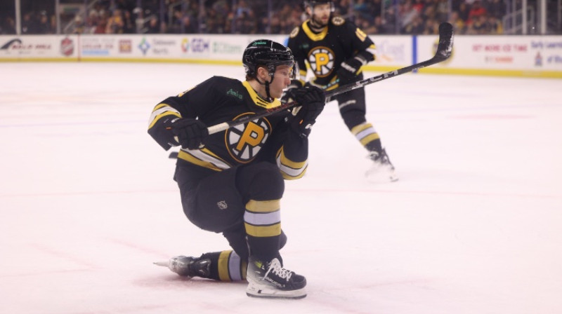 Dans Ločmelis. Foto: Providence Bruins