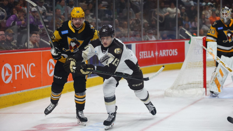 Ēriks Mateiko cīņā pret Vilksberijas un Skrentonas "Penguins". Foto: Hershey Bears