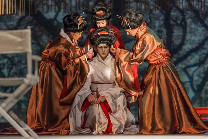 Dailes teātrī notiks austrumnieciskas drāmas „M.Butterfly” pirmizrāde