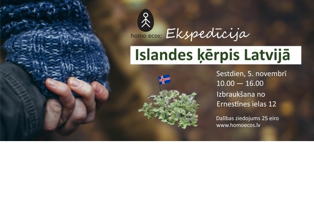 Aicina piedalīties ekspedīcijā „Islandes ķērpis Latvijā”