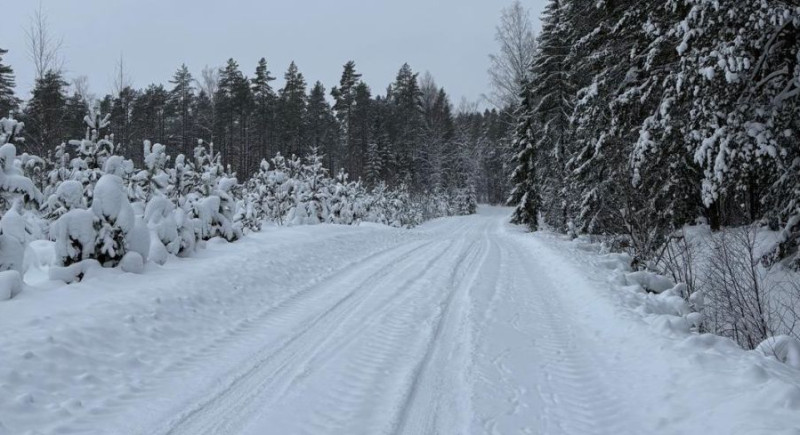 Sniega pārbagātība priecē ''Rally Alūksne'' rīkotājus