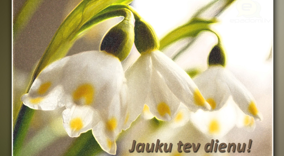 Foto: Apsveikuma kartiņa: Jauku tev dienu!